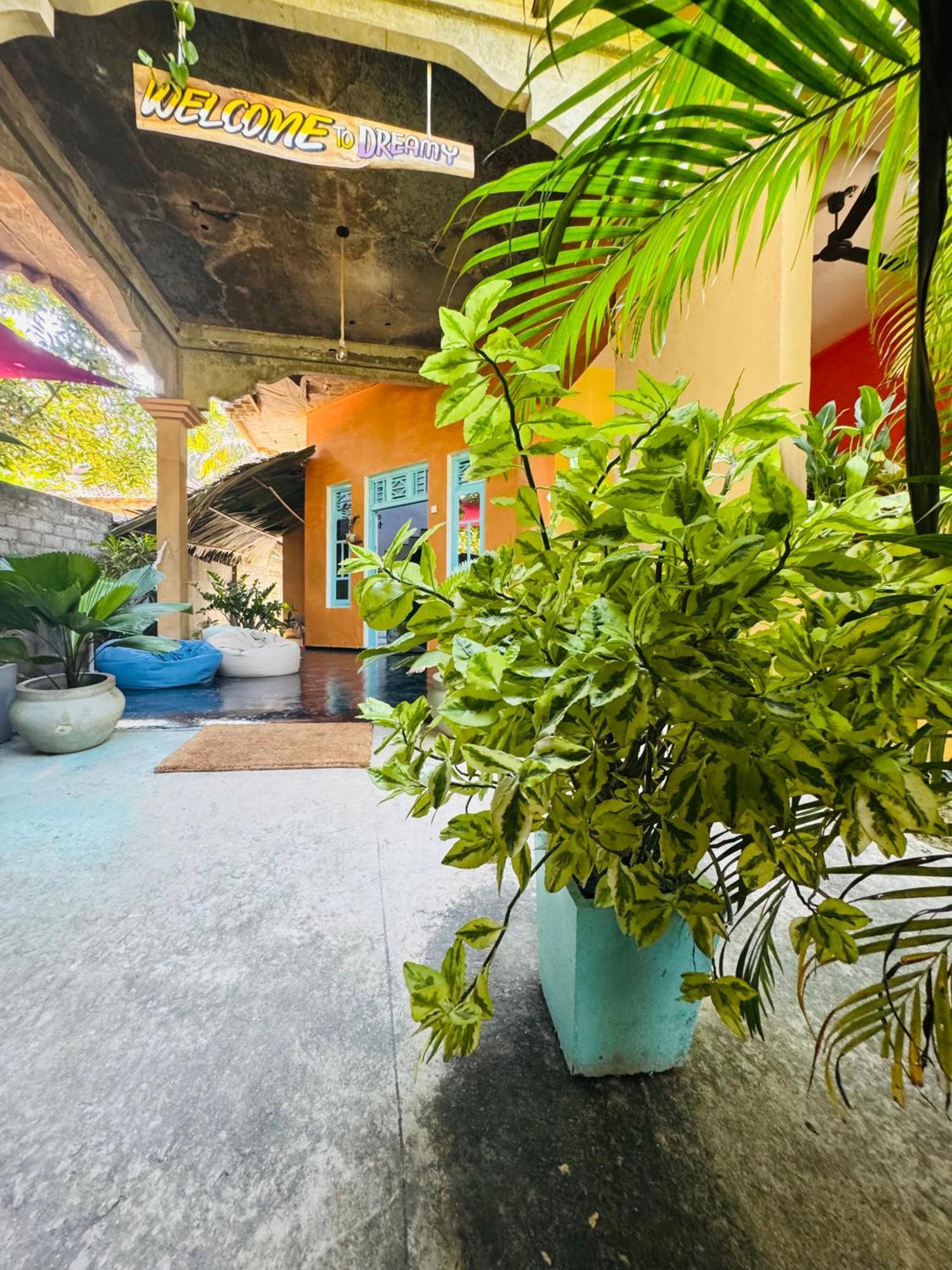 Dreamy Hostel Arugambay Arugam Bay Dış mekan fotoğraf