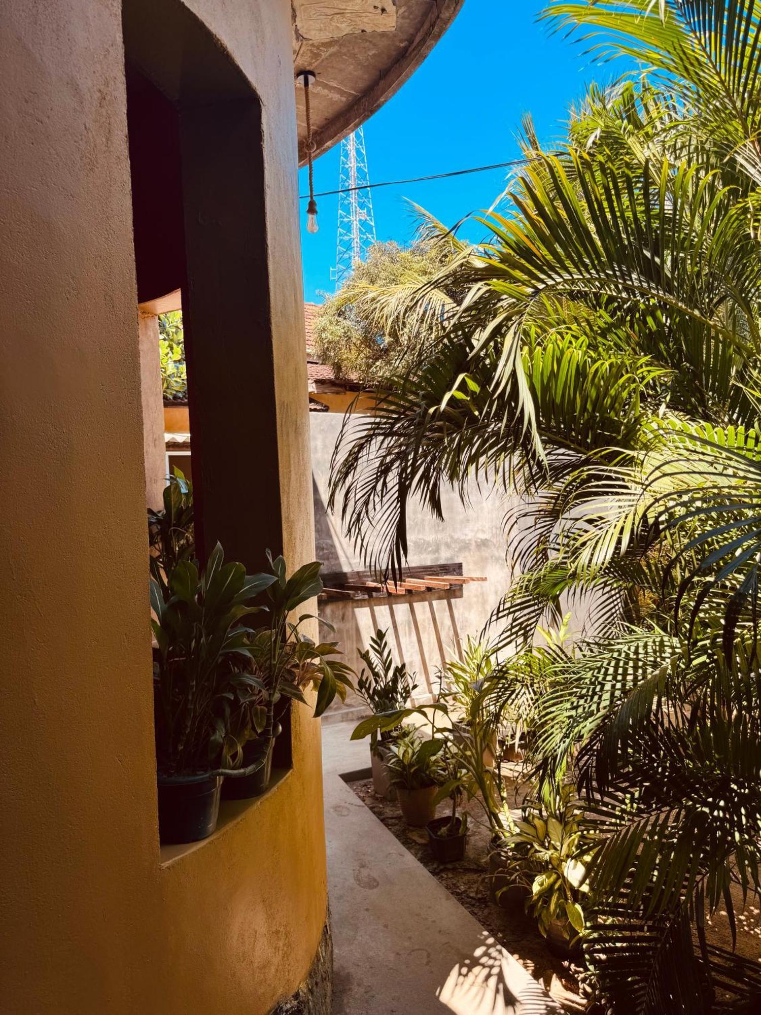 Dreamy Hostel Arugambay Arugam Bay Dış mekan fotoğraf